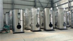  四吨低氮热水九游J9（中国）