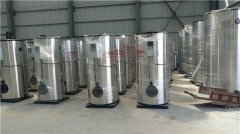  一吨燃气冷凝九游J9（中国）