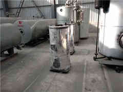  12吨卧式蒸汽九游J9（中国）