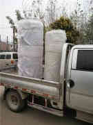  四吨液化气热水九游J9（中国）