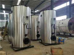  12吨冷凝热水九游J9（中国）