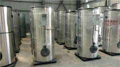  4吨大型热水九游J9（中国）