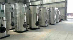  15吨天然气热水九游J9（中国）