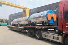  20吨燃油燃气热水九游J9（中国）