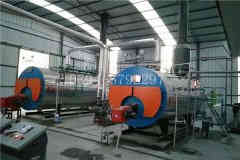  一吨低氮冷凝蒸汽九游J9（中国）