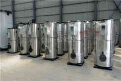  六吨液化气热水九游J9（中国）