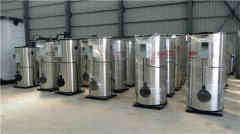  六吨低氮燃气九游J9（中国）