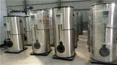  十吨冷凝蒸汽九游J9（中国）