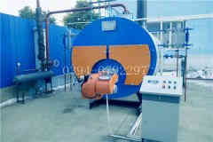  6吨燃油燃气蒸汽九游J9（中国）