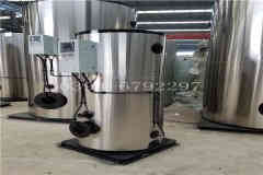  四吨冷凝燃气九游J9（中国）