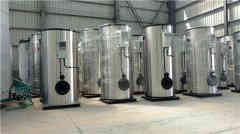  0.2吨液化气热水九游J9（中国）