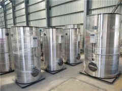  2吨低氮燃气九游J9（中国）