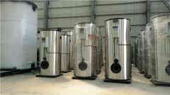 六吨燃煤蒸汽九游J9（中国）