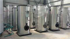 生物质2吨蒸汽九游J9（中国）