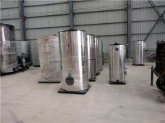 CWNS2.8型燃油气热水九游J9（中国）