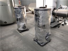 1吨低氮冷凝九游J9（中国）