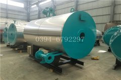 0.1吨燃煤热水九游J9（中国）