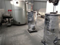 天然气低氮蒸汽九游J9（中国）