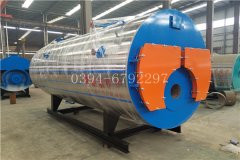 20吨低氮燃气九游J9（中国）