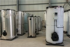 12吨冷凝燃油九游J9（中国）