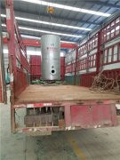 0.5吨低氮冷凝九游J9（中国）