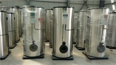 20吨冷凝九游J9（中国）