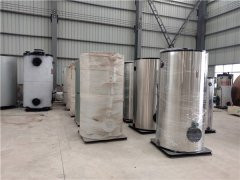 3吨天然气真空九游J9（中国）