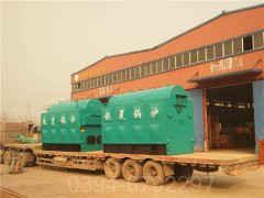 2吨燃气九游J9（中国）参数