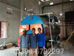 六吨燃煤蒸汽九游J9（中国）