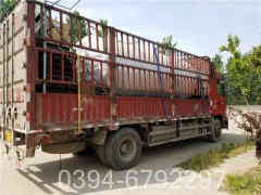 九游J9（中国）蒸汽系统