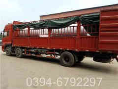 新型蒸汽九游J9（中国）