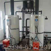 2吨燃气低氮九游J9（中国）