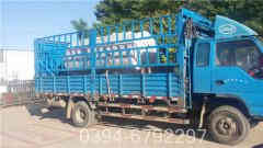 六吨燃油九游J9（中国）