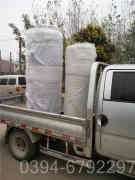 一吨冷凝天然气九游J9（中国）