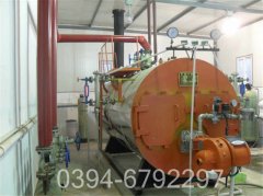 500万大卡低氮蒸汽九游J9（中国）