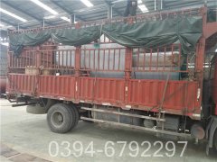 2800kw低氮蒸汽九游J9（中国）