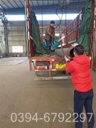 12t冷凝九游J9（中国）