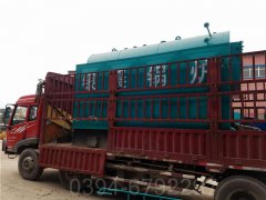 100万大卡低氮蒸汽九游J9（中国）