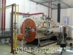 8吨天然气热水九游J9（中国）