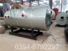 0.2吨生物质热水九游J9（中国）