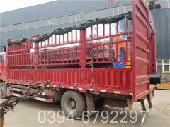 1吨低氮九游J9（中国）