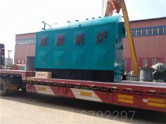 12吨冷凝低氮热水九游J9（中国）
