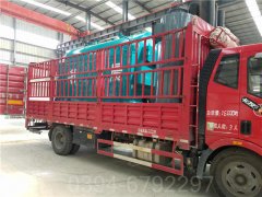 六吨冷凝低氮热水九游J9（中国）