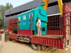 0.1吨冷凝热水九游J9（中国）