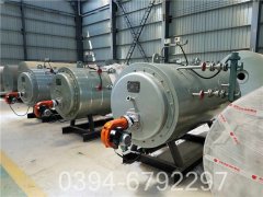 六吨天然气真空热水九游J9（中国）