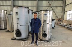 0.2吨立式燃气热水九游J9（中国）