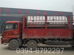 链条导热油炉