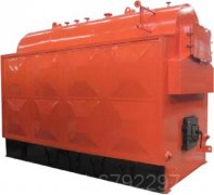 小型燃煤蒸汽九游J9（中国）