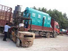 立式电蒸汽发生器