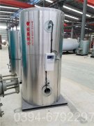 六吨低氮冷凝蒸汽九游J9（中国）